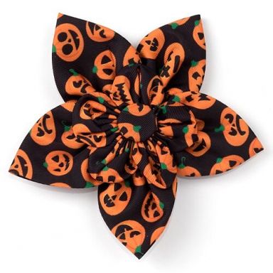 Worthy Dog - Jack-o-Lantern Pinwheel